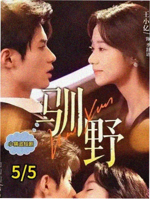 星辰视频 山河故人 电视剧